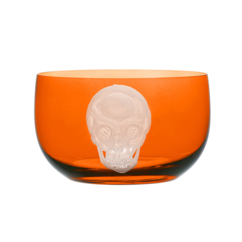 Cabinet of Curiosities Skull