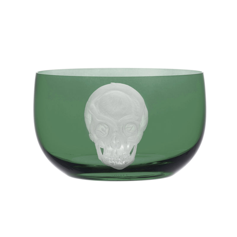 Cabinet of Curiosities Skull