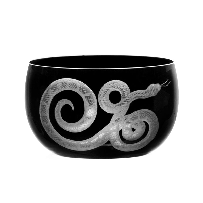 Cabinet of Curiosities Snake