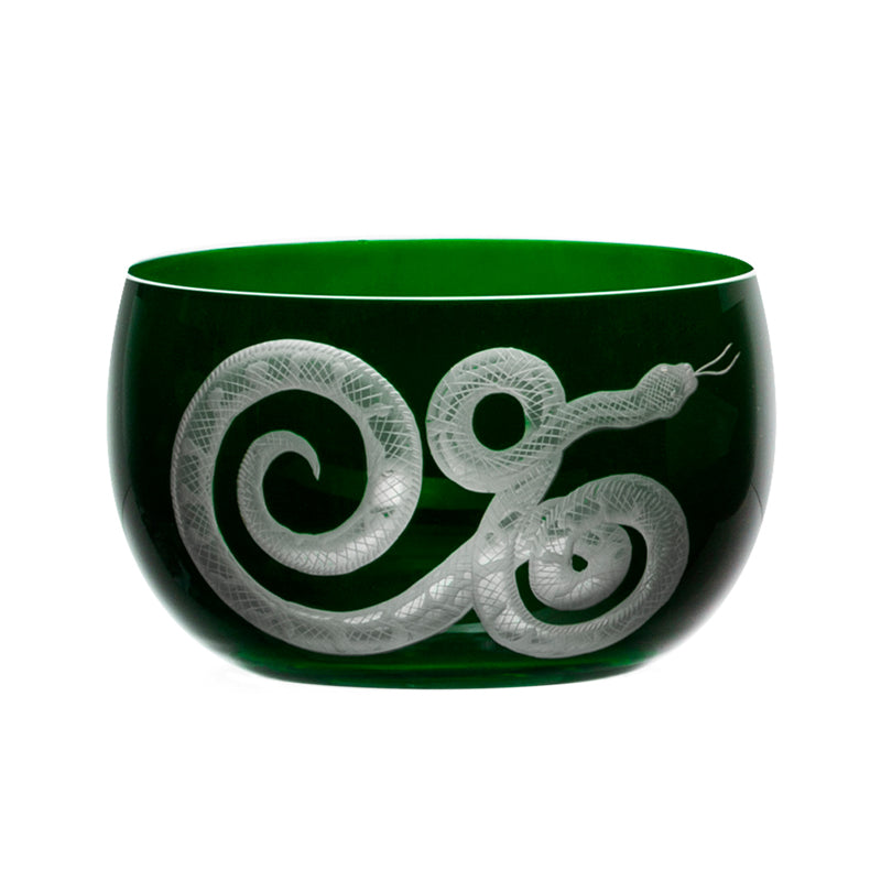 Cabinet of Curiosities Snake