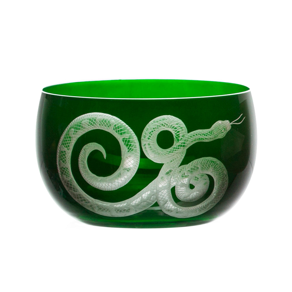 Cabinet of Curiosities Snake