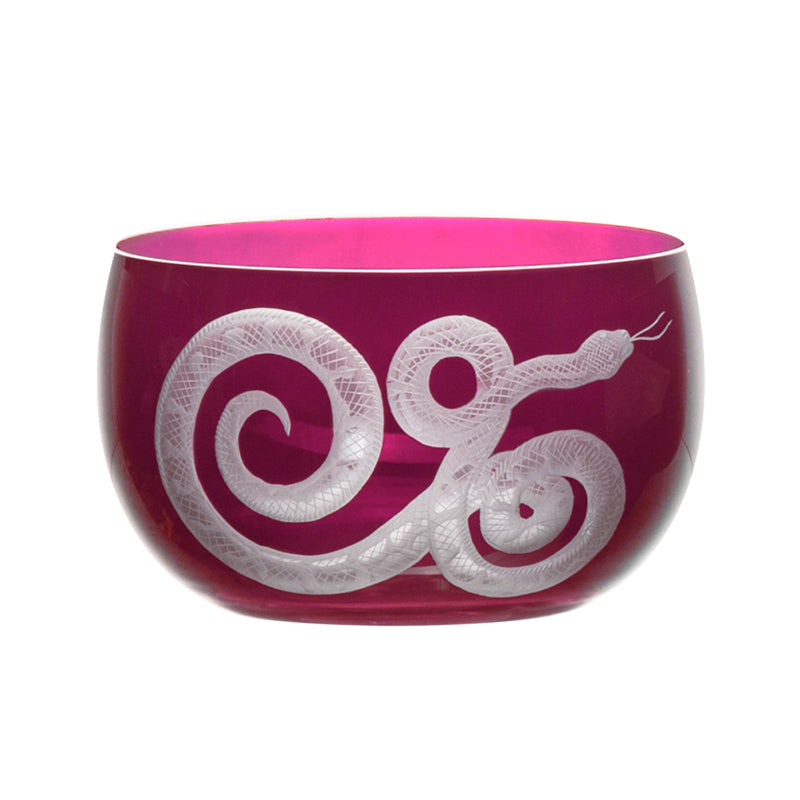 Cabinet of Curiosities Snake