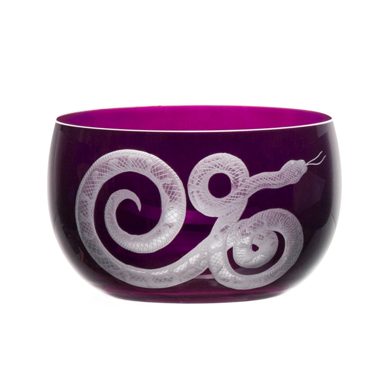 Cabinet of Curiosities Snake