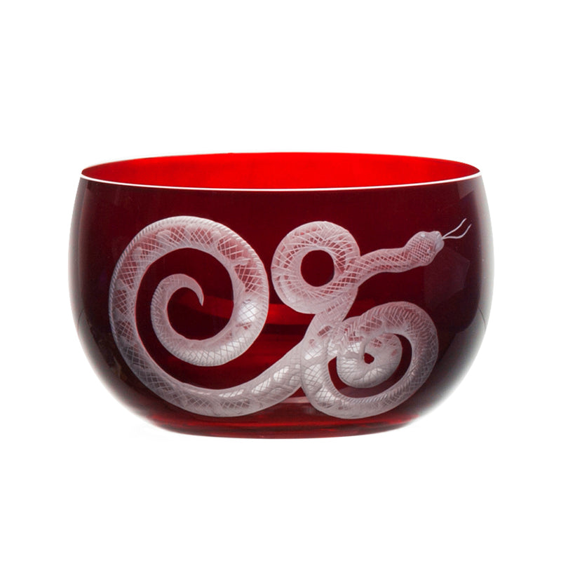 Cabinet of Curiosities Snake