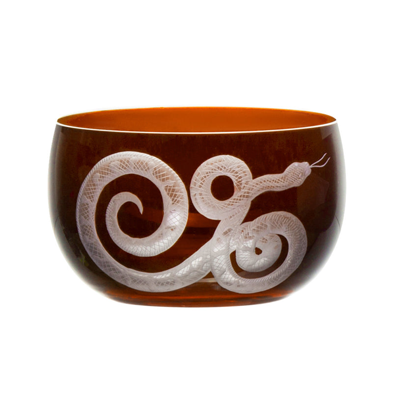 Cabinet of Curiosities Snake