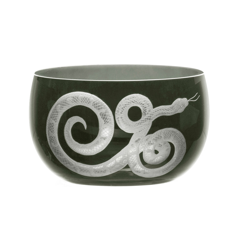 Cabinet of Curiosities Snake