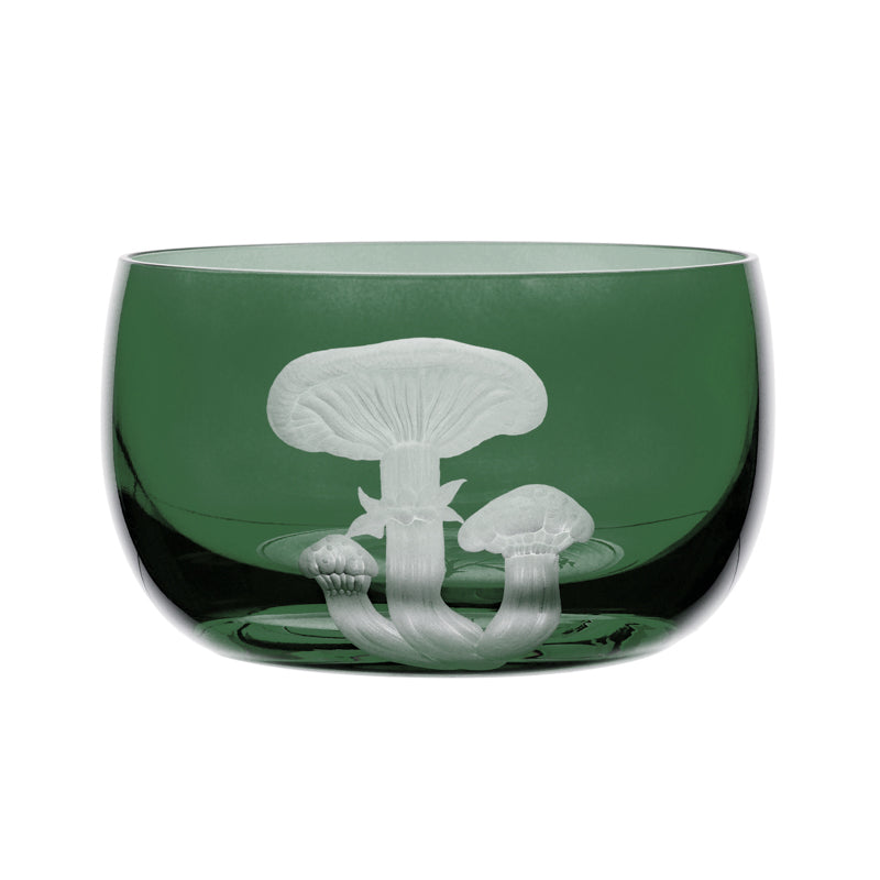 Mushrooms Honey Fungus