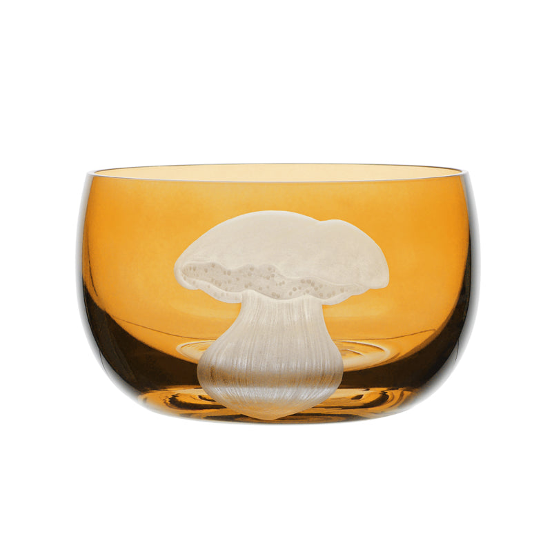 Mushrooms Summer Cep