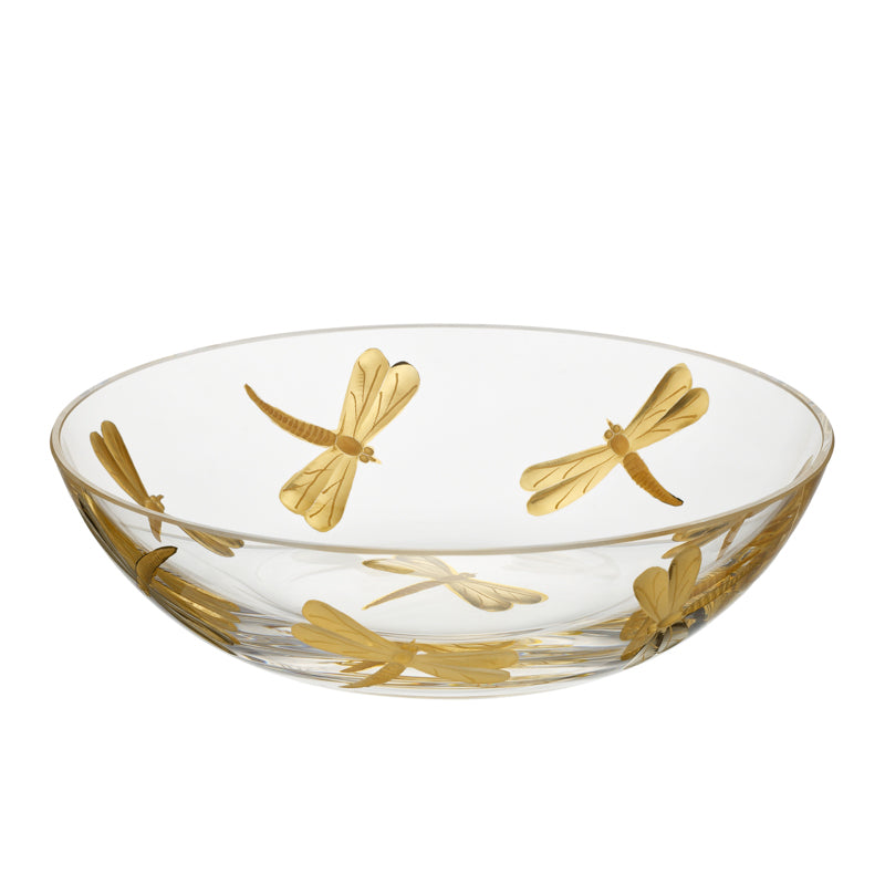 Fly Fusion Dragonfly