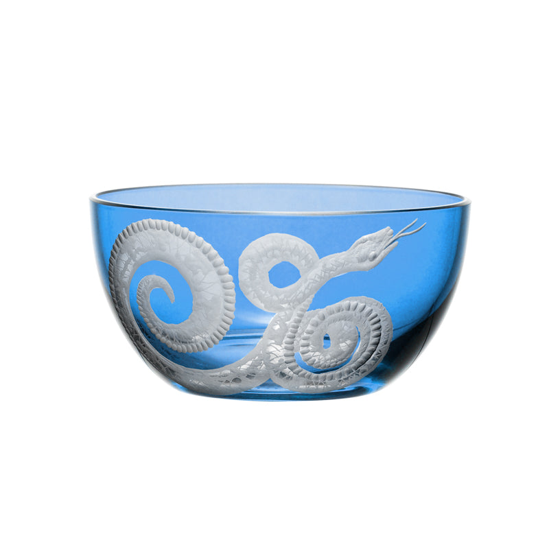 Cabinet of Curiosities Snake