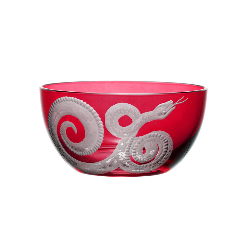 Cabinet of Curiosities Snake