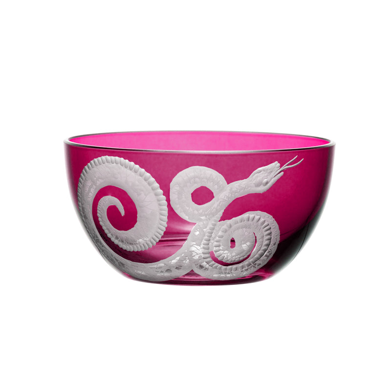 Cabinet of Curiosities Snake