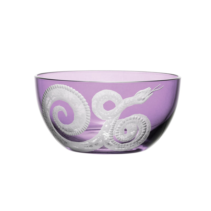 Cabinet of Curiosities Snake