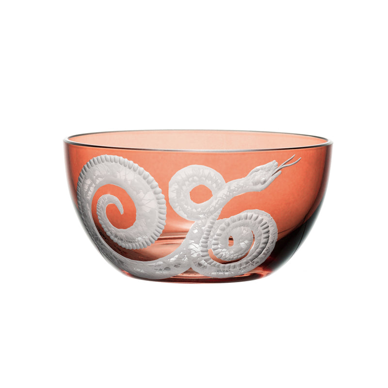 Cabinet of Curiosities Snake