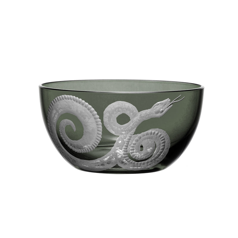 Cabinet of Curiosities Snake