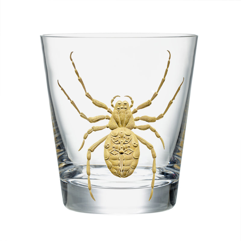 Cabinet of Curiosities Spider