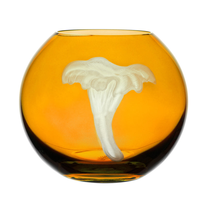 Mushrooms Chanterelle