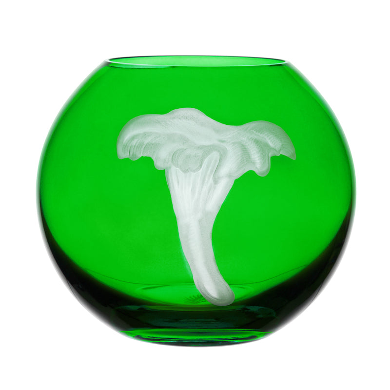 Mushrooms Chanterelle