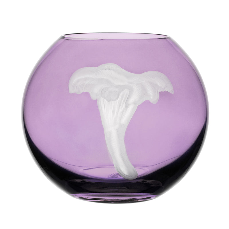 Mushrooms Chanterelle