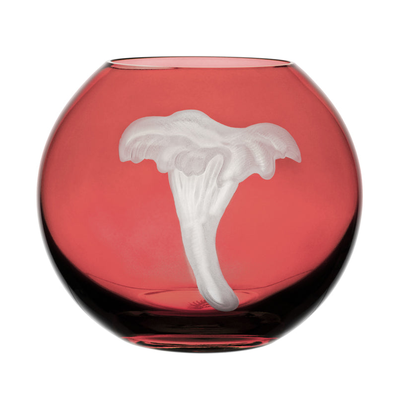 Mushrooms Chanterelle