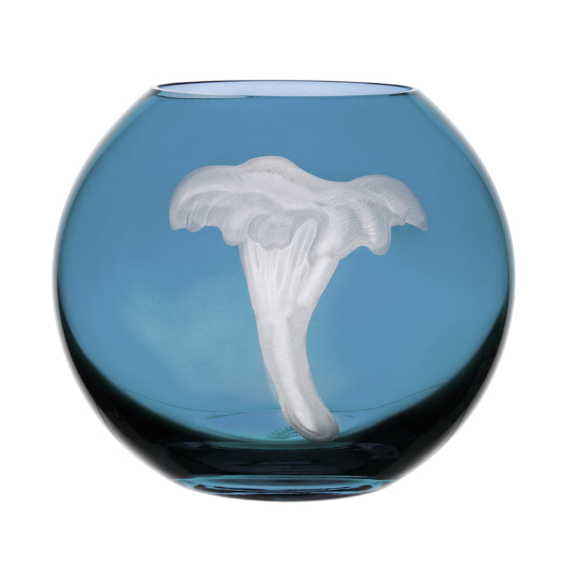 Mushrooms Chanterelle