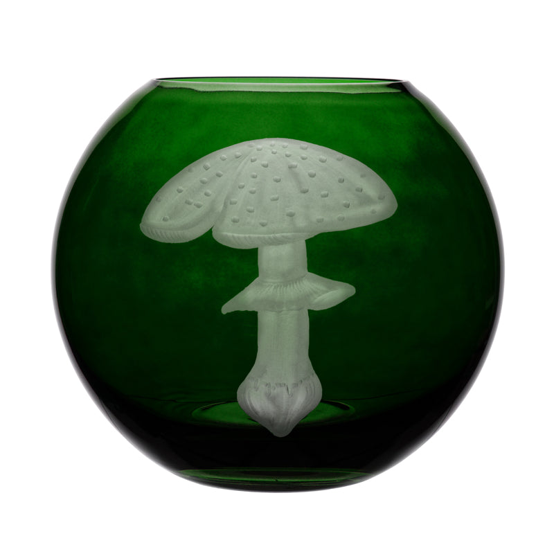 Mushrooms Fly Amanita