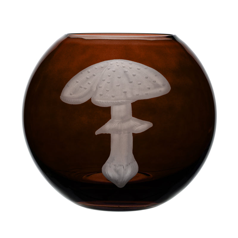 Mushrooms Fly Amanita