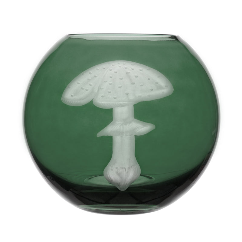 Mushrooms Fly Amanita