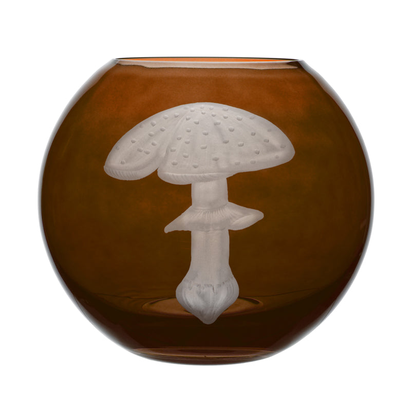 Mushrooms Fly Amanita