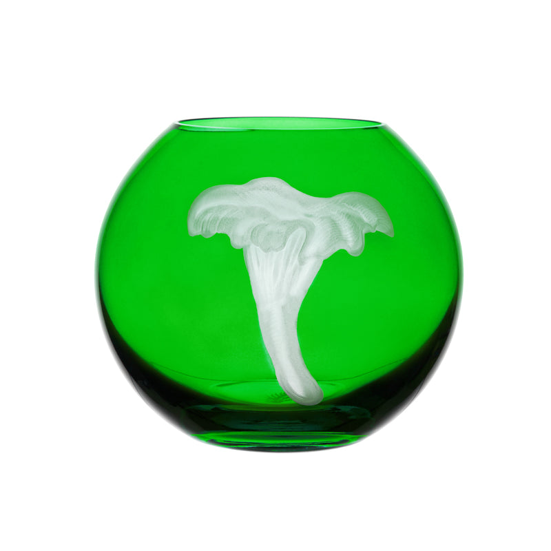 Mushrooms Chanterelle