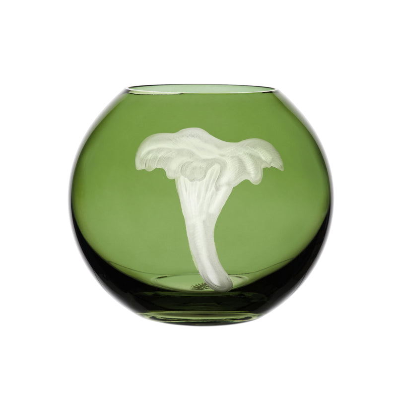 Mushrooms Chanterelle