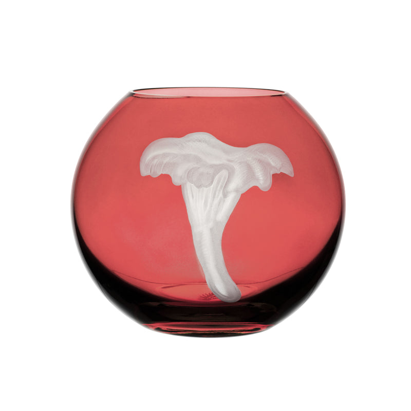 Mushrooms Chanterelle