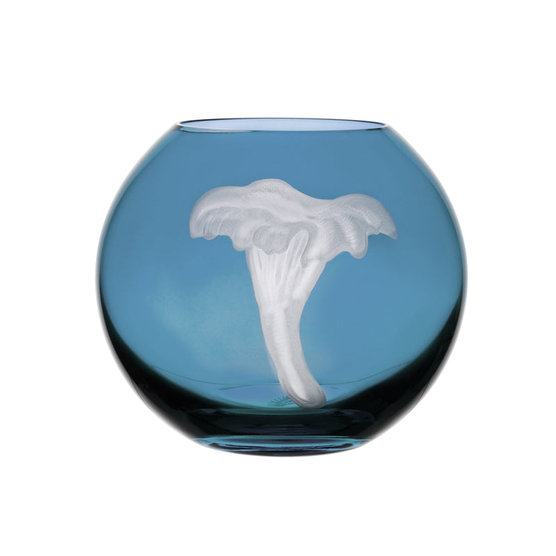 Mushrooms Chanterelle