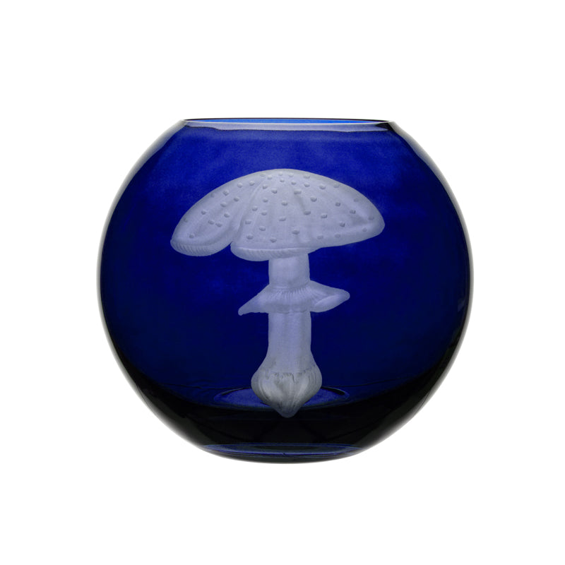 Mushrooms Fly Amanita
