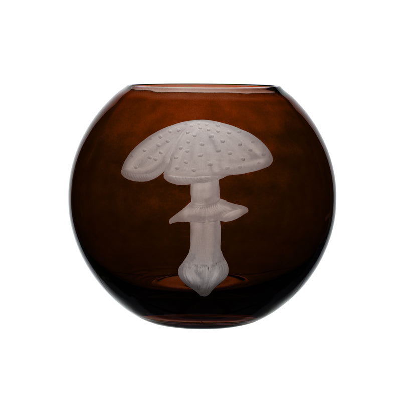 Mushrooms Fly Amanita
