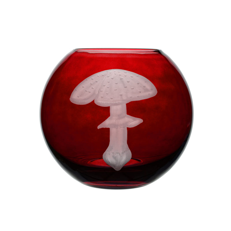 Mushrooms Fly Amanita