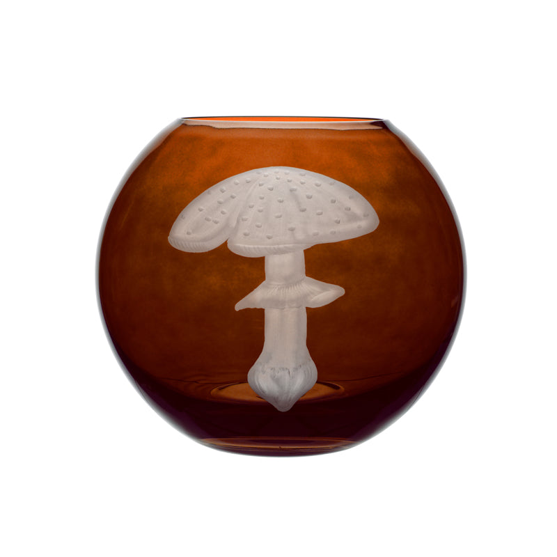 Mushrooms Fly Amanita