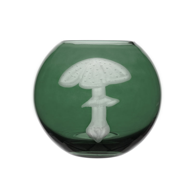 Mushrooms Fly Amanita