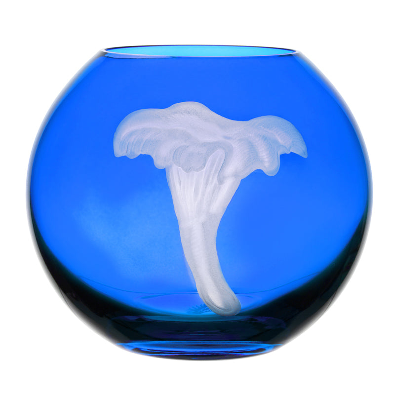 Mushrooms Chanterelle