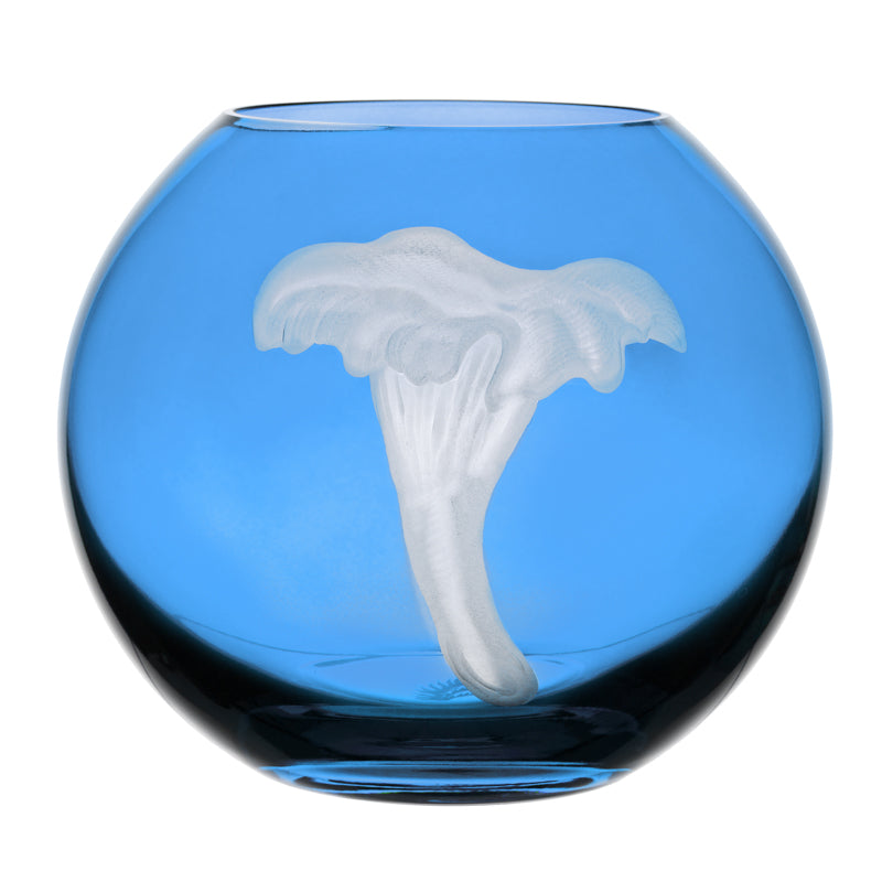 Mushrooms Chanterelle