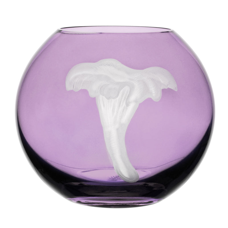 Mushrooms Chanterelle