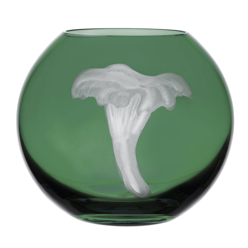 Mushrooms Chanterelle