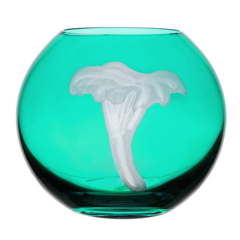 Mushrooms Chanterelle