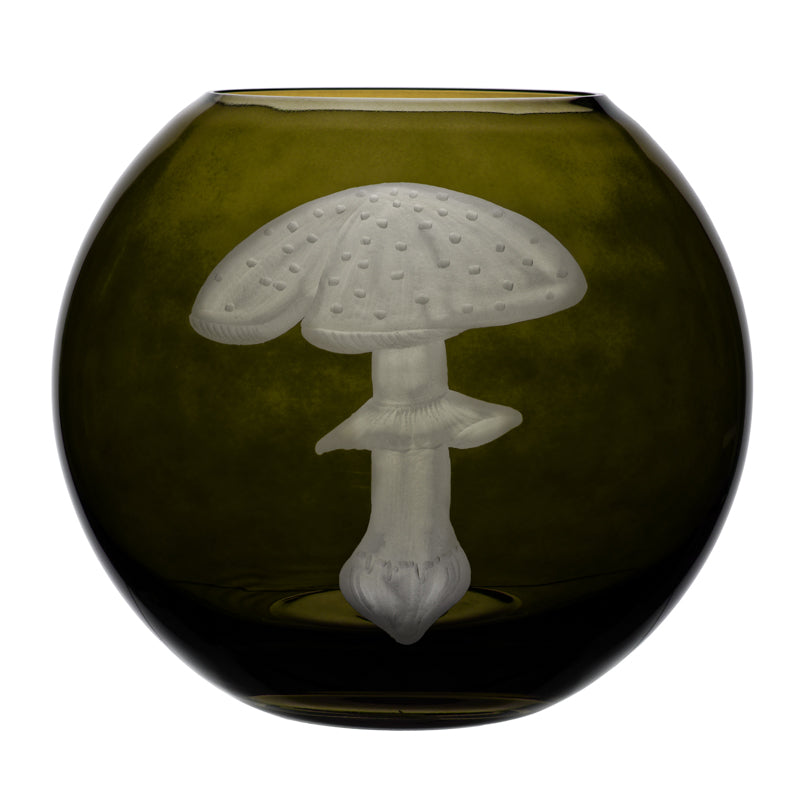 Mushrooms Fly Amanita