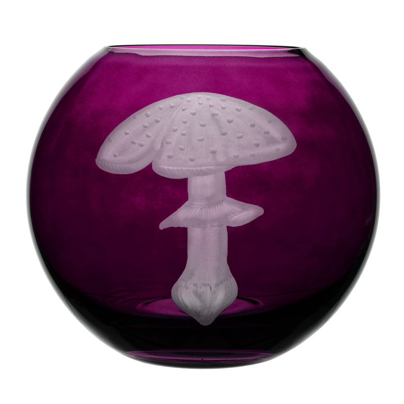 Mushrooms Fly Amanita