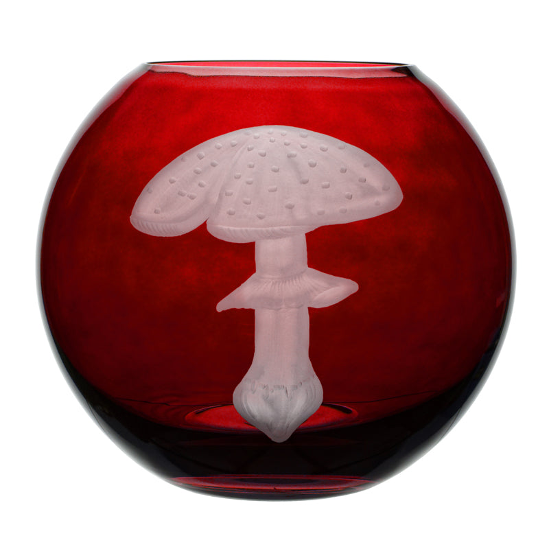 Mushrooms Fly Amanita