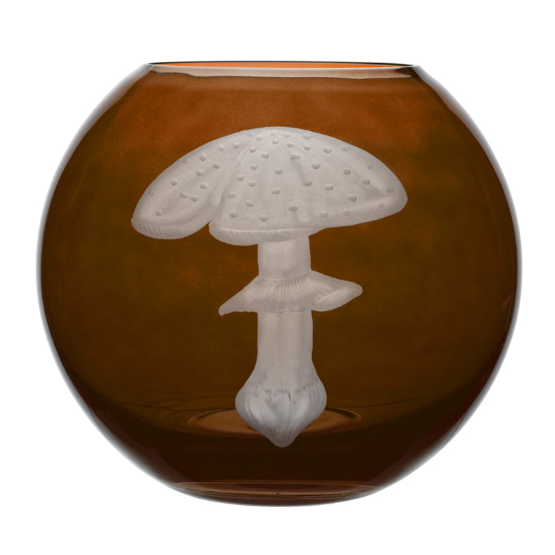 Mushrooms Fly Amanita