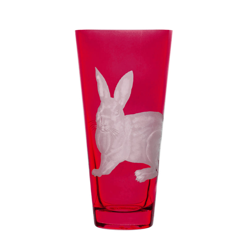 Barnyard Rabbit