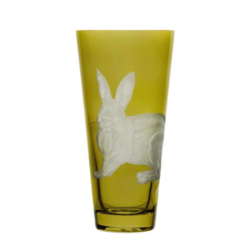Barnyard Rabbit