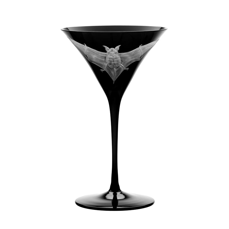 Cabinet of Curiosities Bat